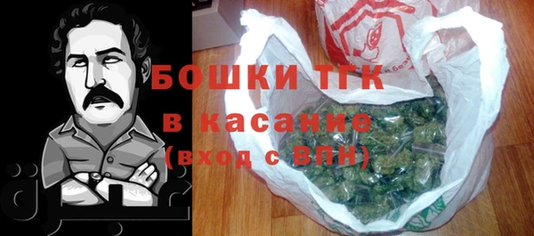 амф Краснослободск